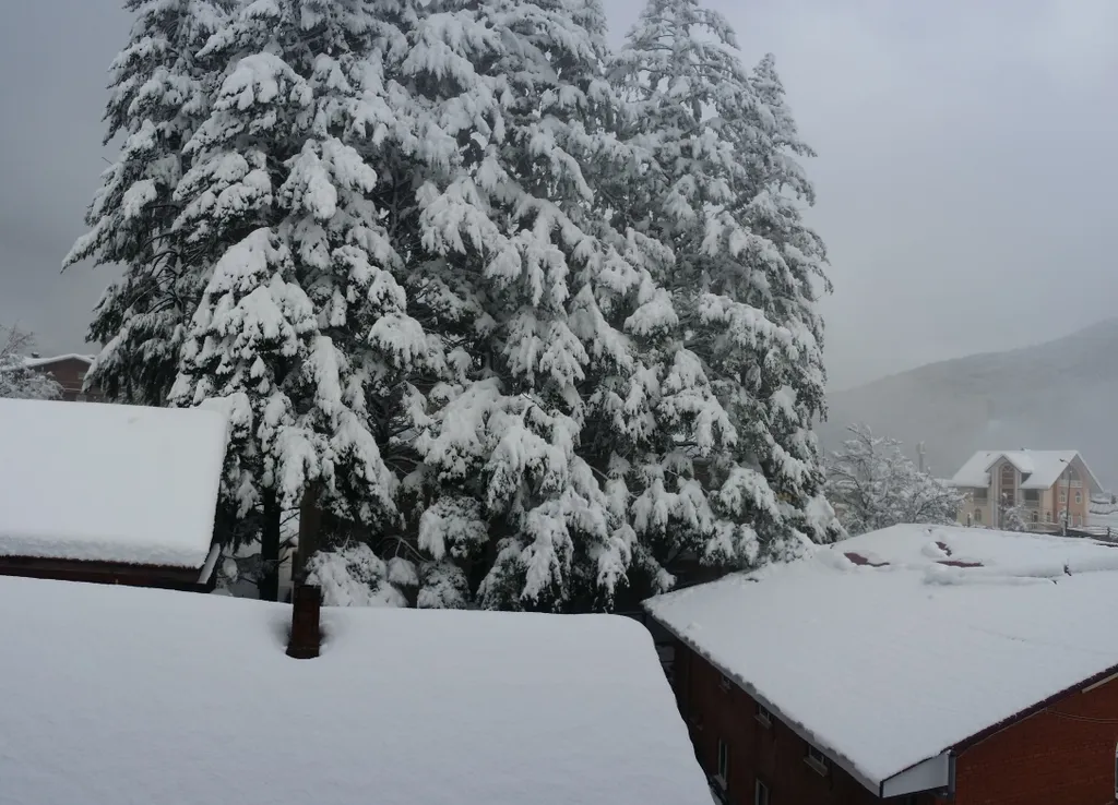 Семейный апартамент Санапарт на 4 места