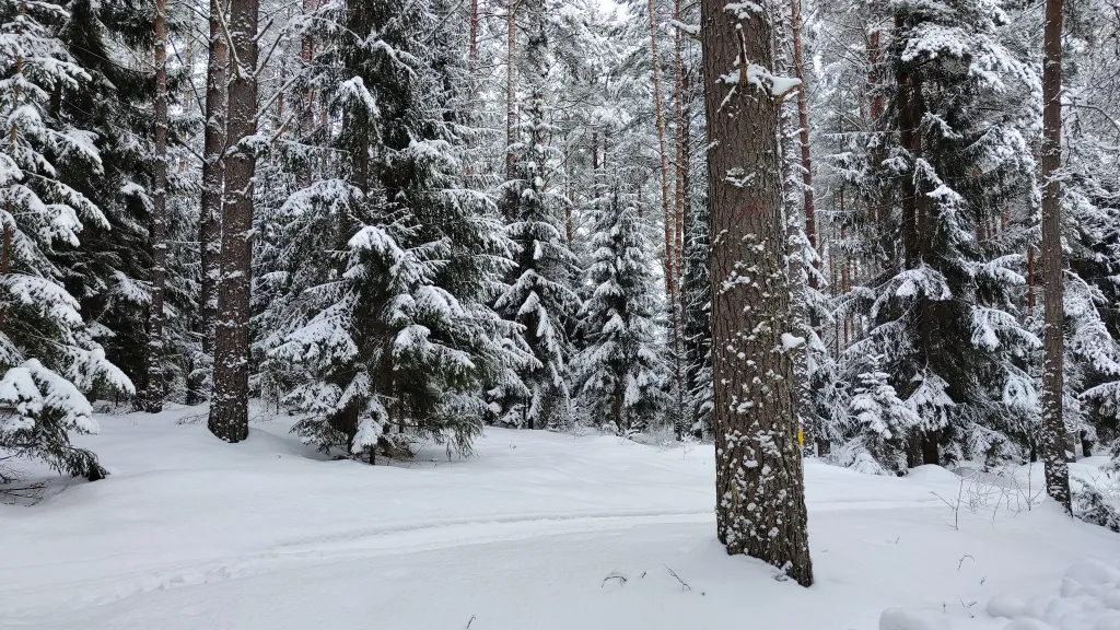 Коттедж Коттедж Амфрейм 6 местный у озера с баней, чаном и детской площадкой с батутом — Ланино
