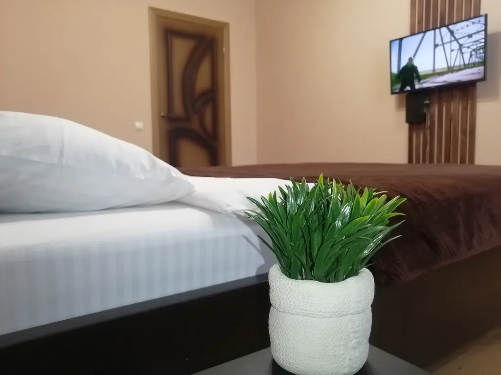 1-комнатная Квартира — аренда посуточно в Минеральные Воды