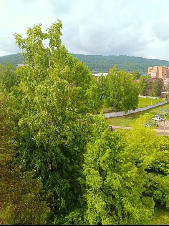 Уютная квартира в центре города с шикарным видом на лес и горы