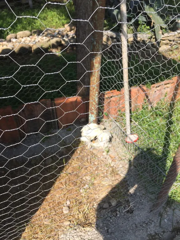 Уютная комната для двоих