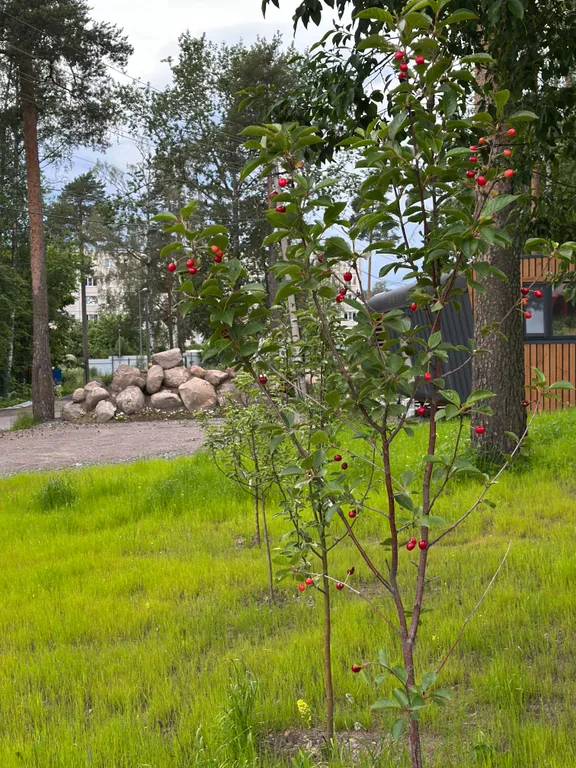 Квартира Семейный апартамент с 2 спальнями и кухней-гостиной — Мичуринское