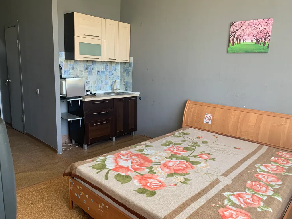 Студия в районе Сибтяжмаш