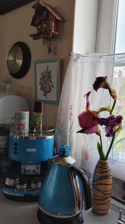 Уединенная часть дома с садом и барбекю