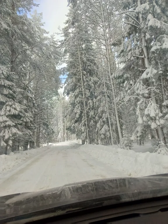 Коттедж Загородный дом в стиле шале — аренда посуточно в Наро-Фоминск