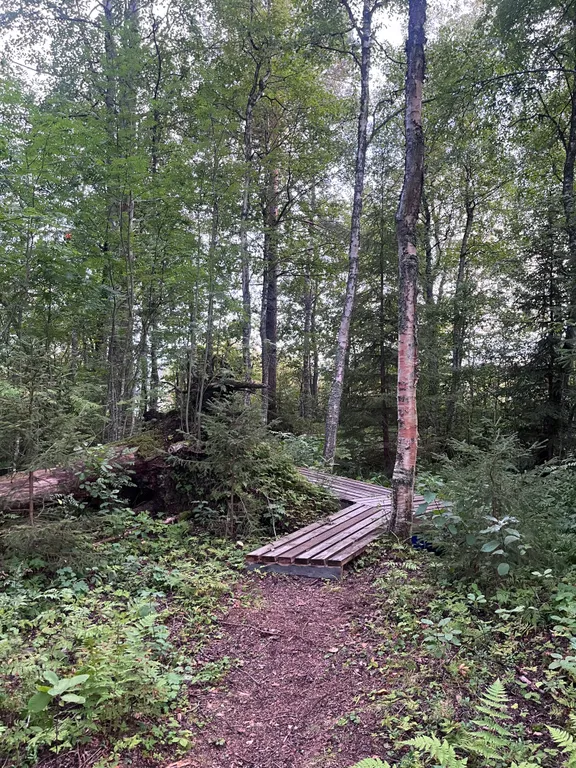 Домик с баней в живописном месте Карелии