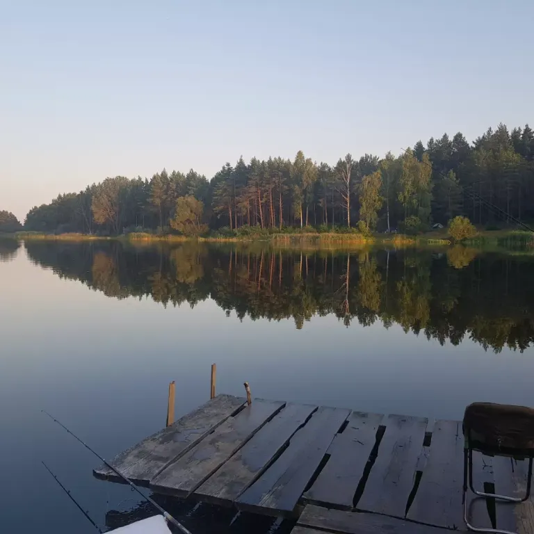 Уютный домик в Беловежской пуще, для тех, кто ценит тишину