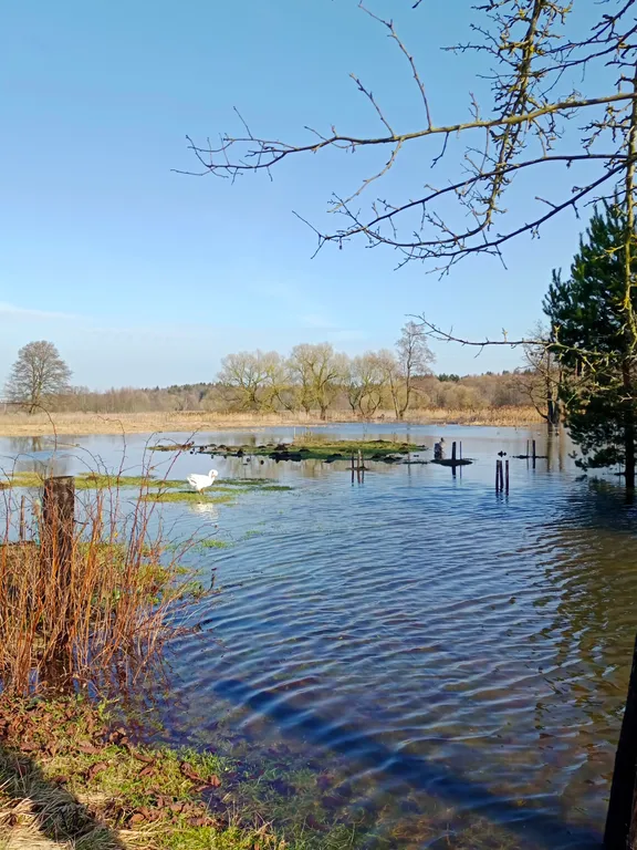 Усадьба на берегу реки