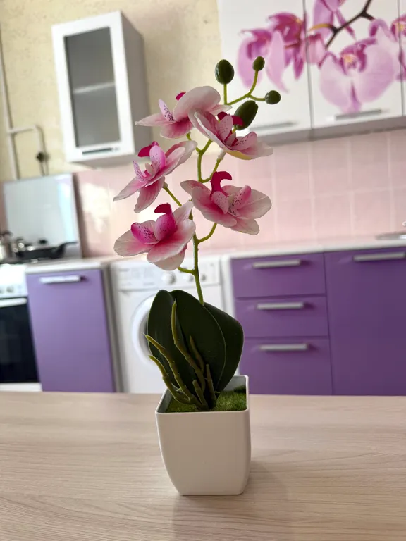 Уютная квартира на сквере мира в центре