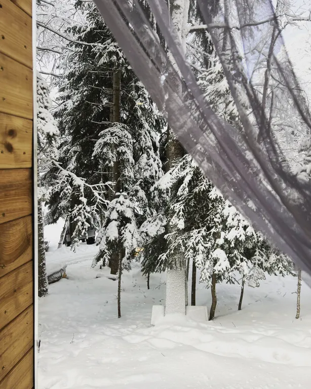 Горы, лес и уют — ваш отдых в Архызе начинается здесь