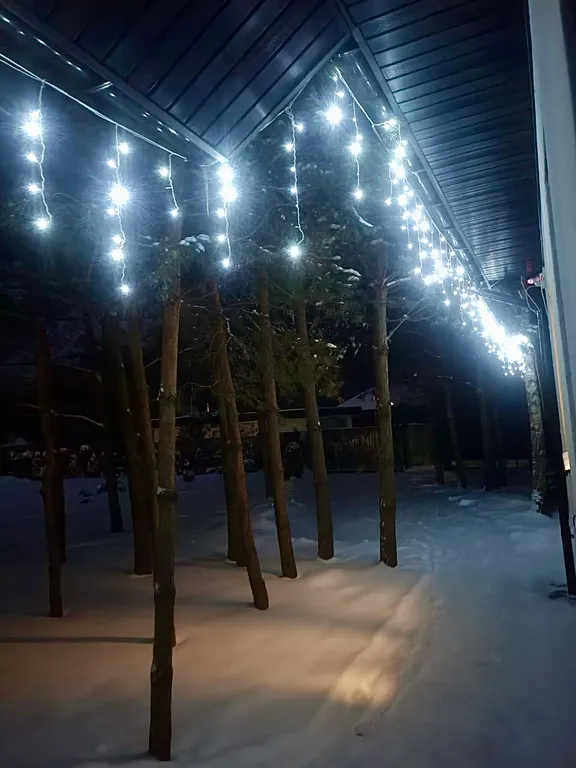 Уютный дом в лесу на 3 семьи