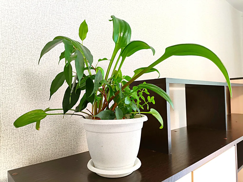 Квартира у ТЦ Рио