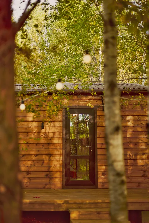 Лесной домик