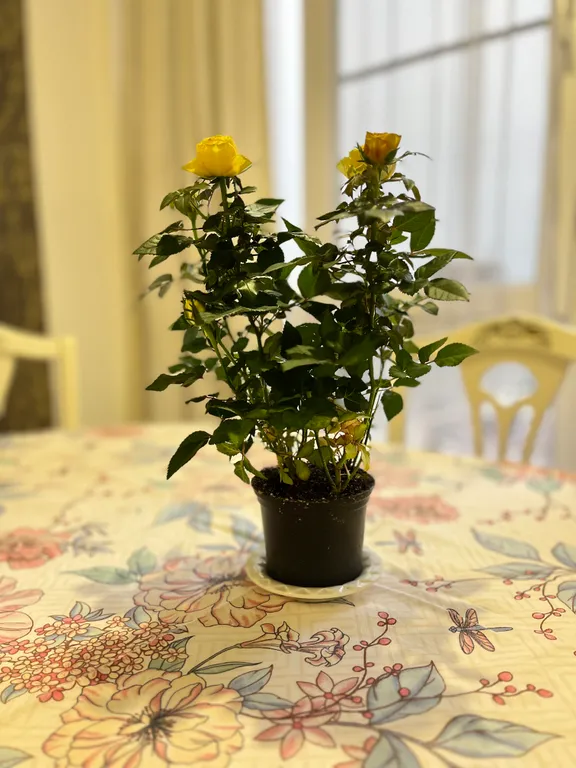 Уютная квартира на побережье Каспия с видом на море