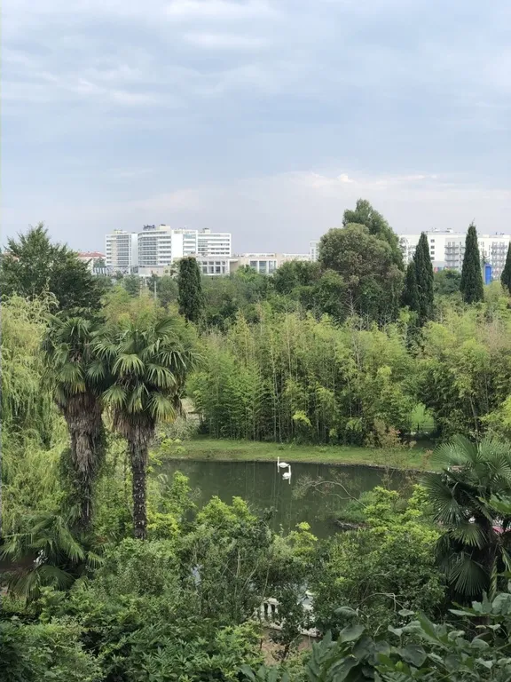 Квартира Квартира Beinsochi — Сириус