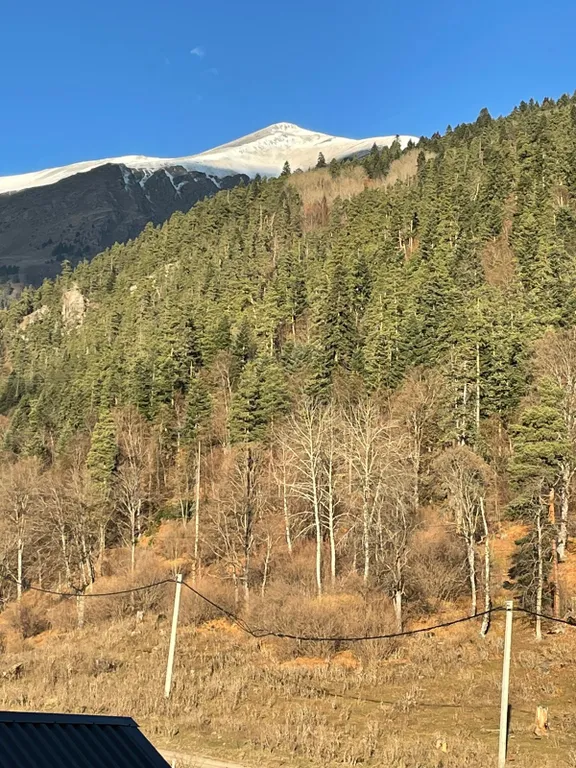 Шале с прекрасным видом на горы и лес