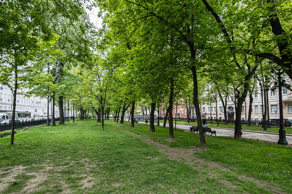 Квартира Квартира Просторная трешка на Арбате — Москва