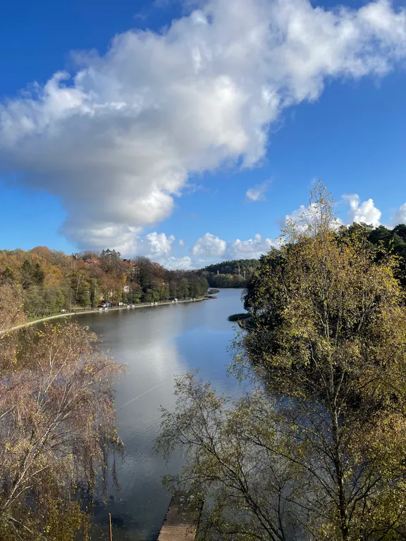 Уютная квартира с видом на озеро и сосновый лес