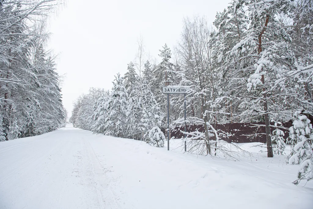 Коттедж Дом для отдыха всей семьей — Луга