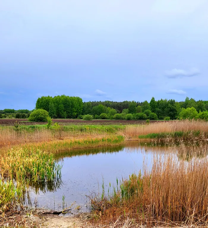 Bielavieža — дом-хутор в Беловежской пуще