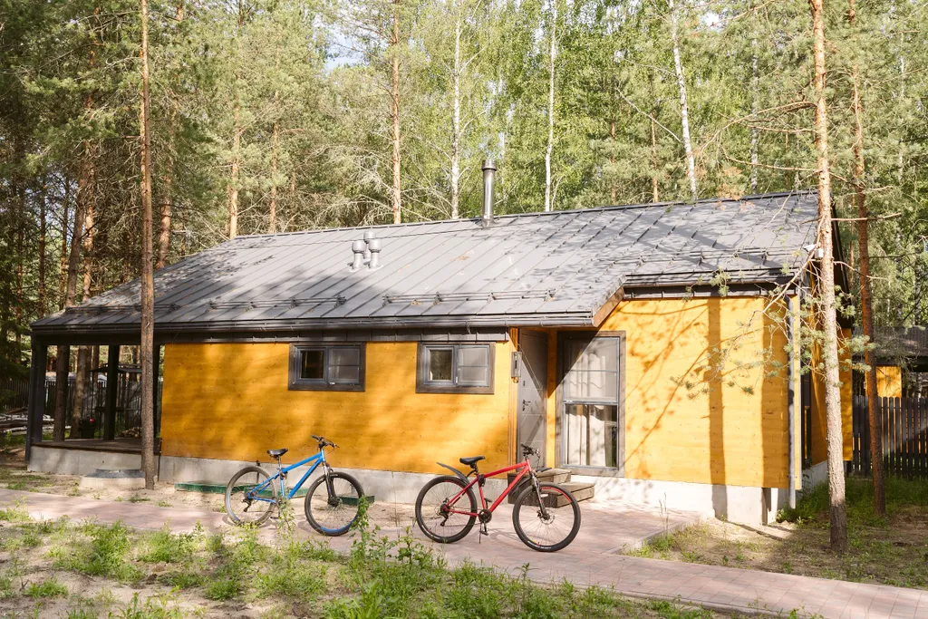 Дом меркуриал