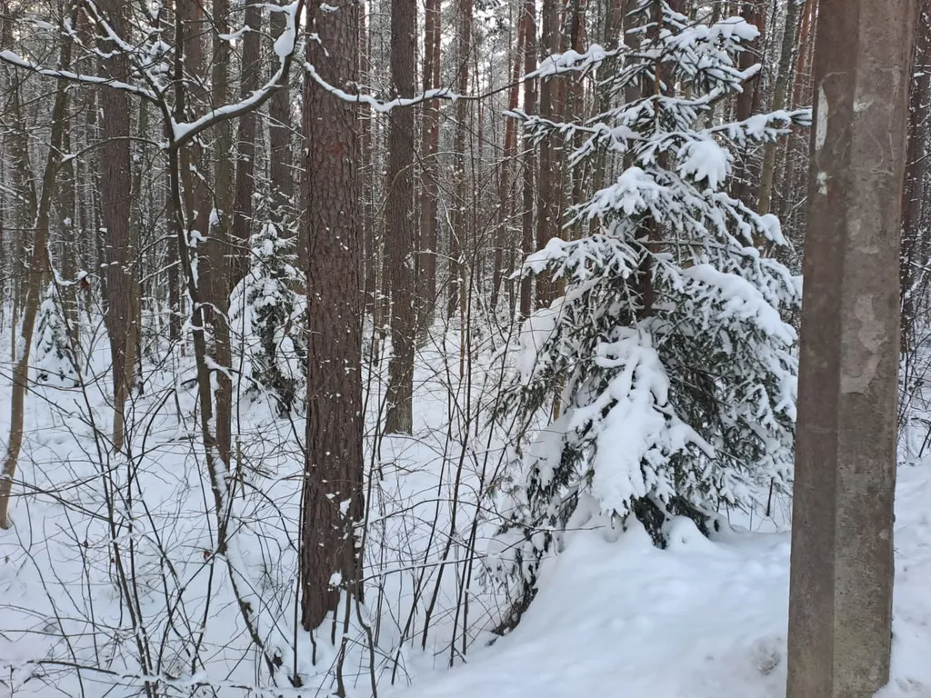 Уютный гостевой дом у залива