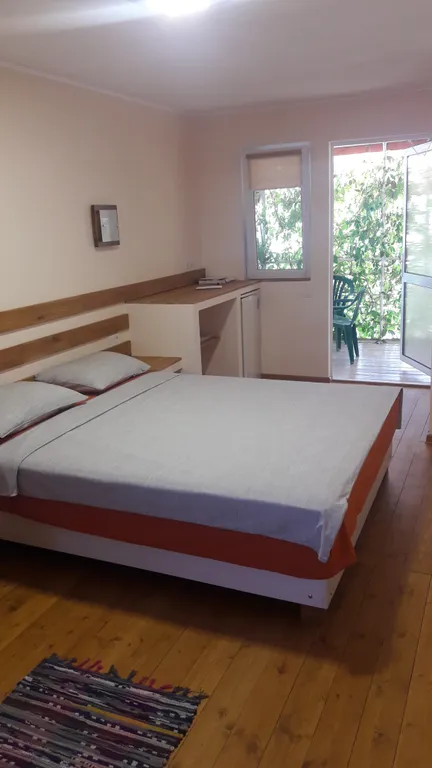 Кактус у Моря