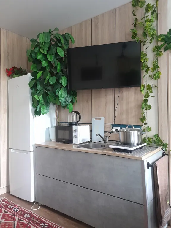 Большая квартира в центре