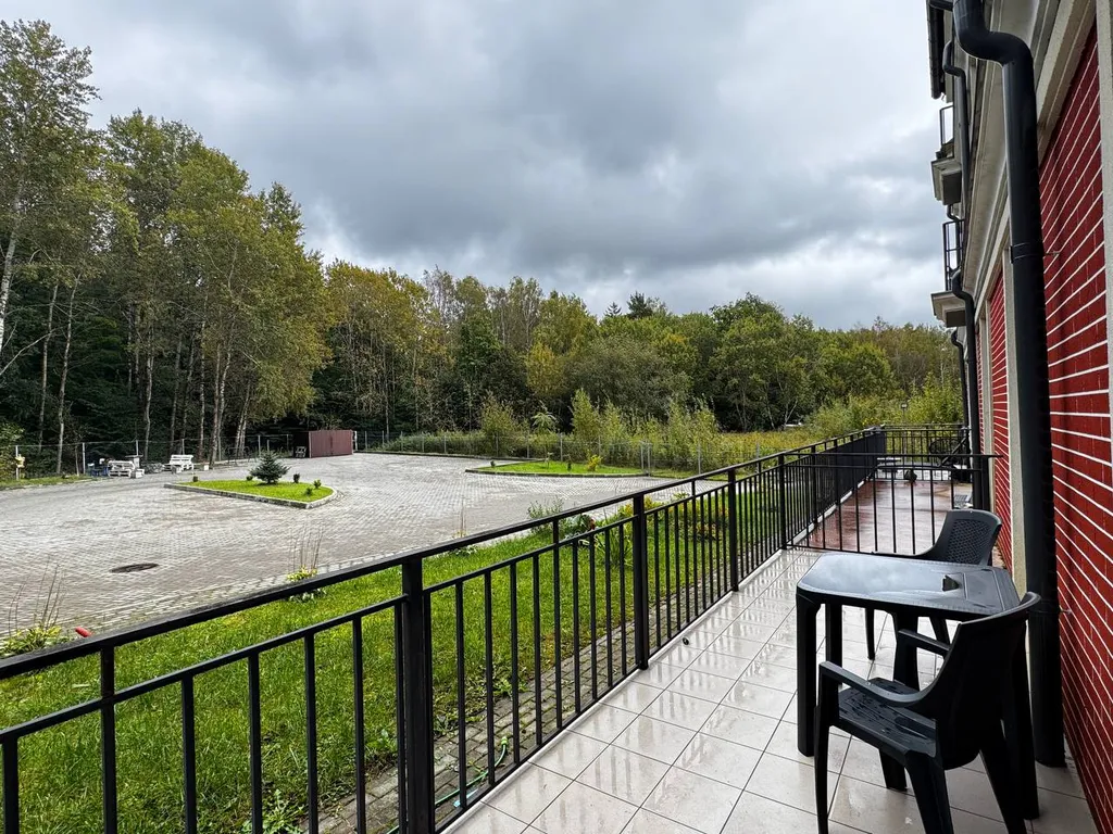 Квартира Уютные  апартаменты в Светлогорске — Светлогорск