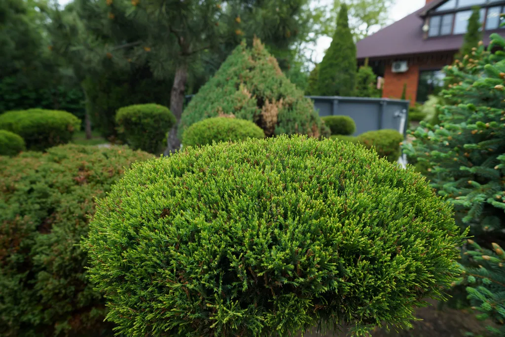 Загородный дом-шале "Pinebrook", аренда, у реки Дон. Сезонный бассейн.