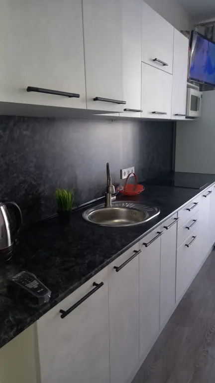 Уютная студия с видом на можжевёловый лес