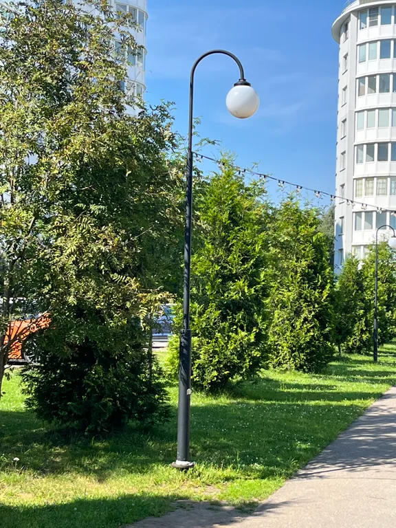 Большая квартира с зонированием и с видом на лес