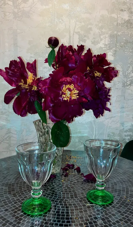 Квартира Апартаменты для двоих Лесная гавань — Пушкин