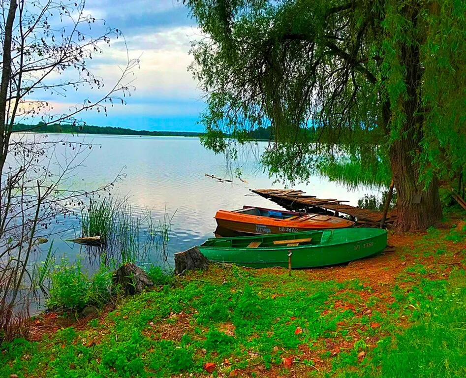 Дом Охотника