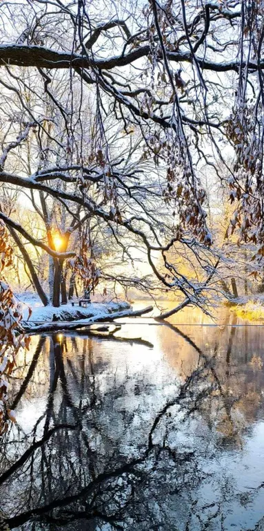 Усадьба Сонтаки на берегу реки Гавья