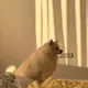 Вита