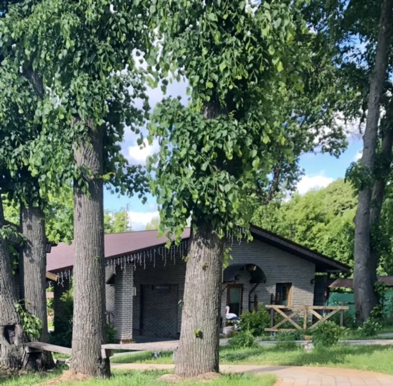 Двухкомнатный семейный одноэтажный дом с двумя ванными комнатами