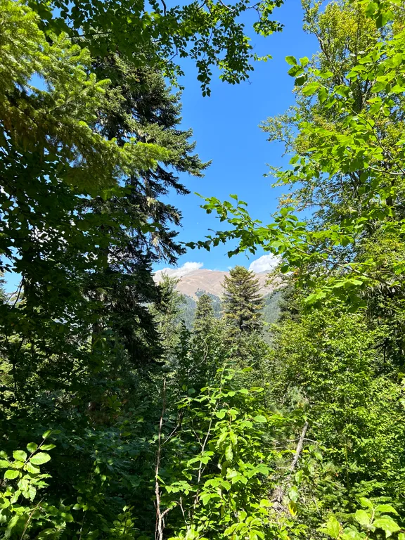 А-фрейм с видом на горы