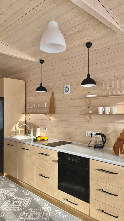 Уютный барнхаус в скандинавском стиле у горнолыжного курорта Сорочаны