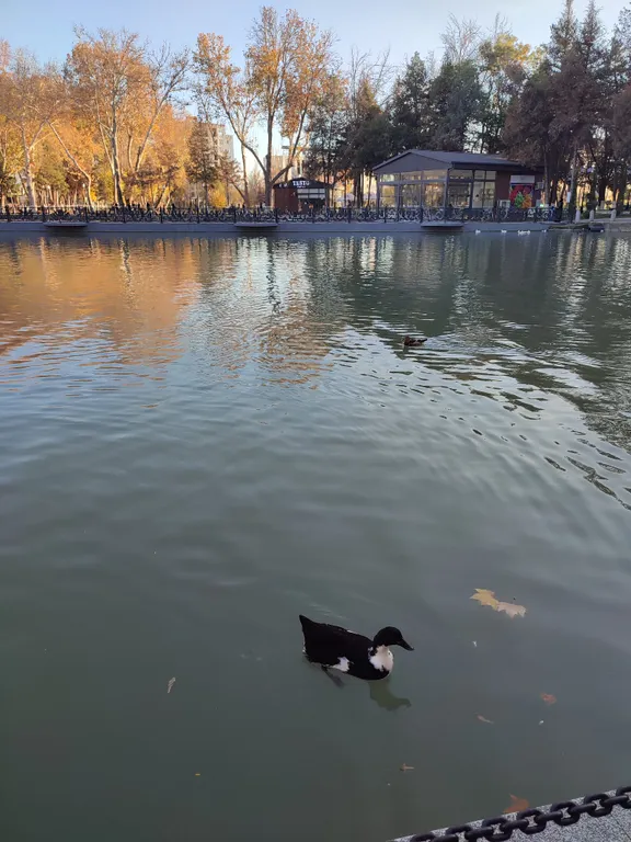Уютная квартира рядом с метро Мирзо Улугбек и парком Гафур Гуляма