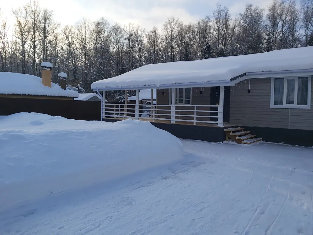 Дом в окружении леса