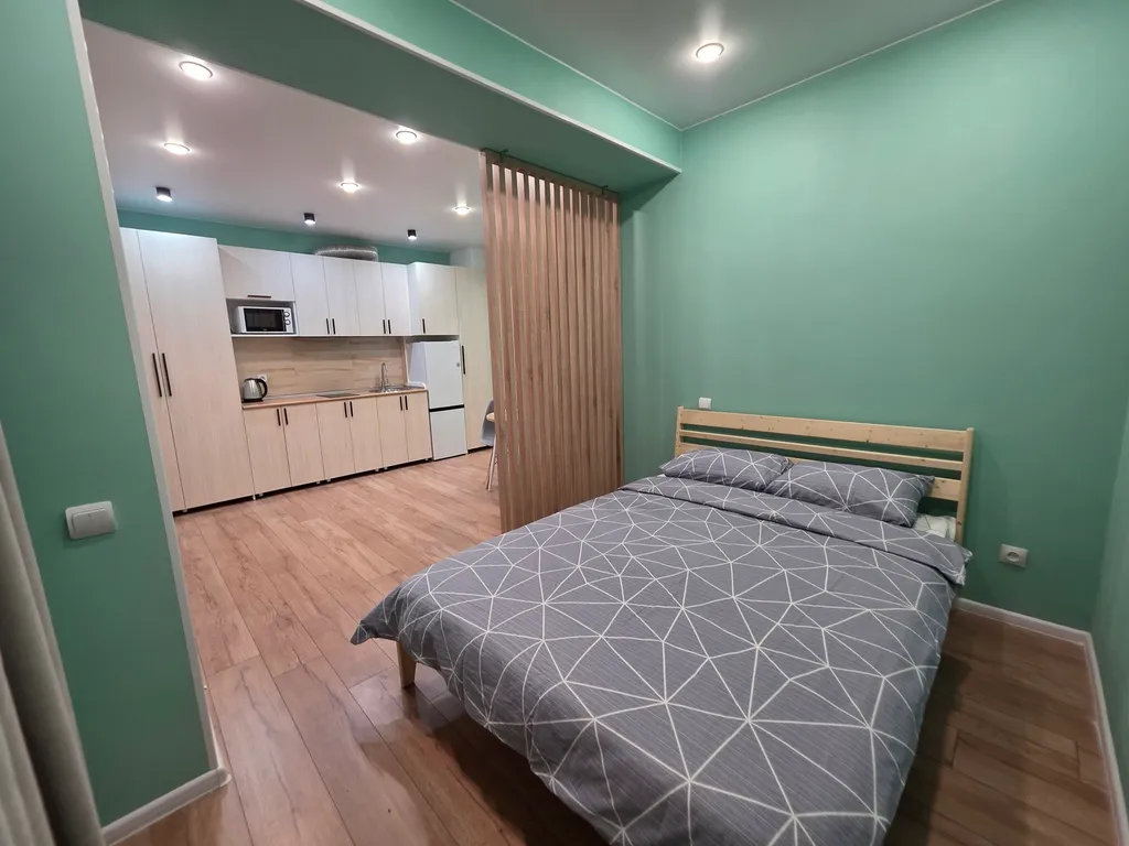 Студия в центре города