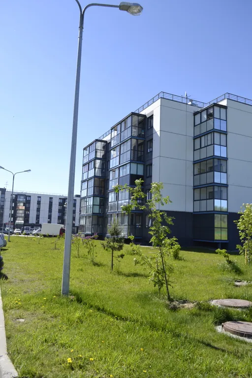 Квартира-студия у леса