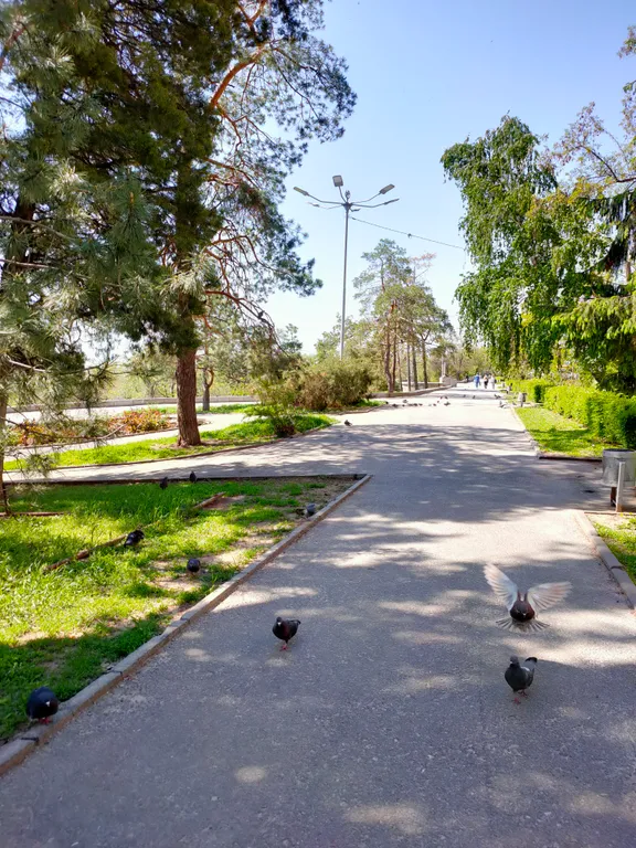 Большая 4-х комнатная уютная квартира в центре на набережной