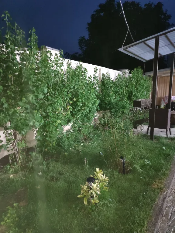 Чистая и аккуратная семейная дача