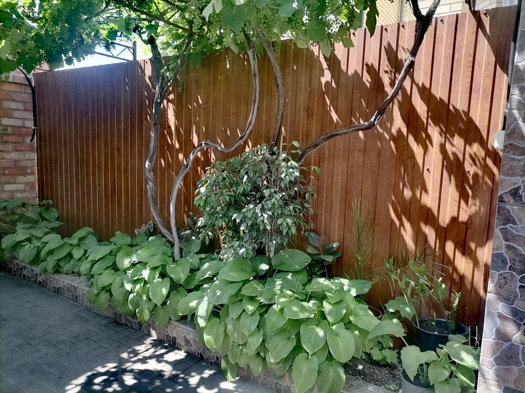 Коттедж Летний домик — Ейск