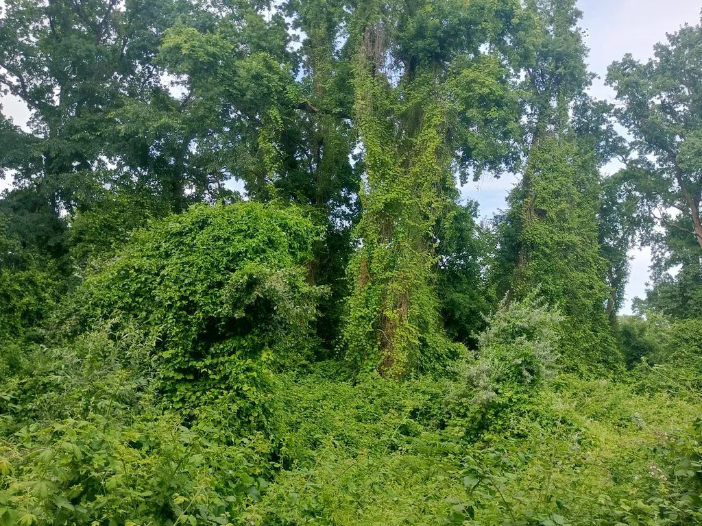 Дом возле моря