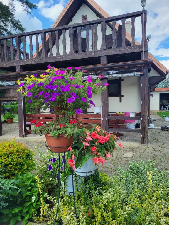 Уютный дом с прекрасным видом на лес