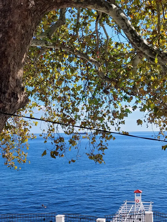 Евродвушка с видом на море на первой береговой линии