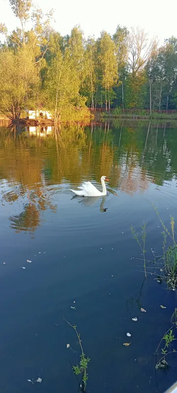 Уютная квартира в спальном районе рядом с центром Сормова